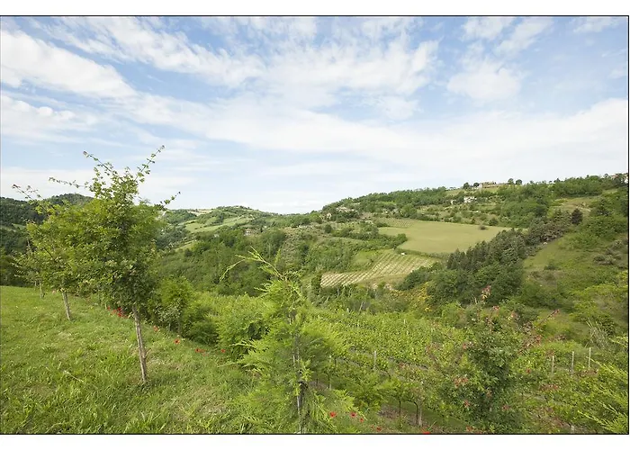 Bed&Breakfast Montesterlino